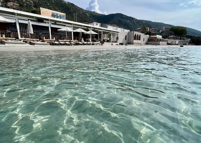 Front De Sanguinaires *