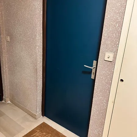 Front De Sanguinaires 公寓 阿雅克肖