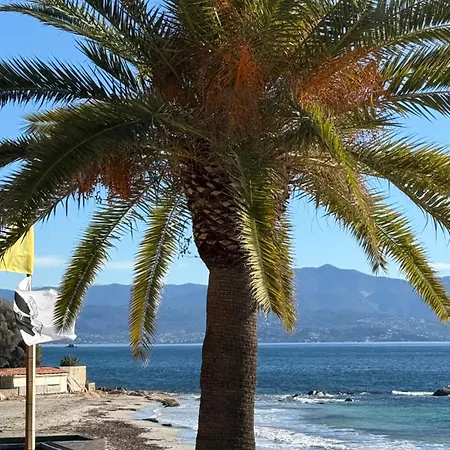 Front De Sanguinaires *